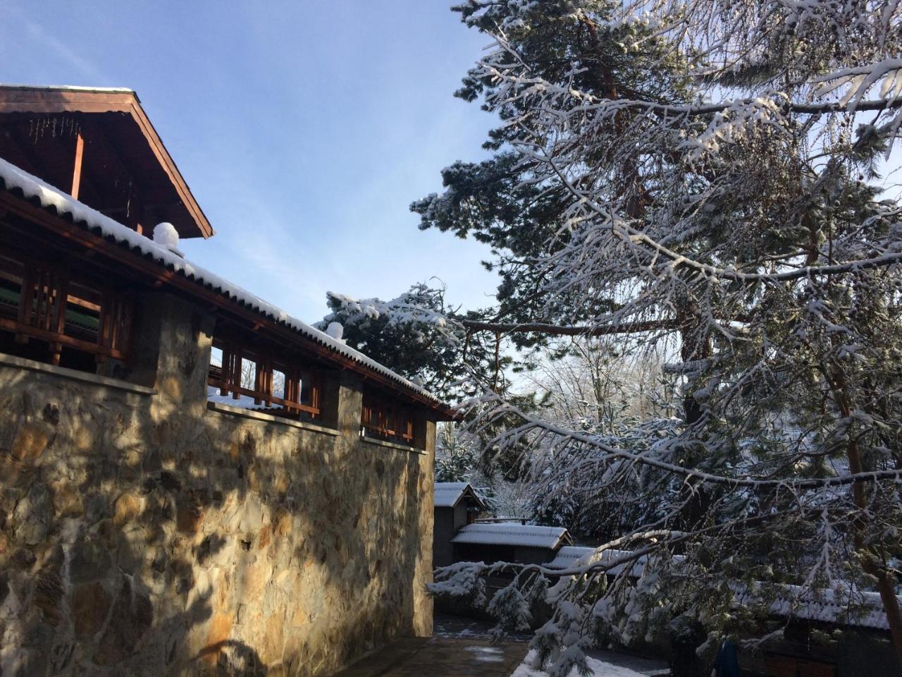 Eco Sadiba Kaskad Hotel Velyka Volosyanka Exterior foto
