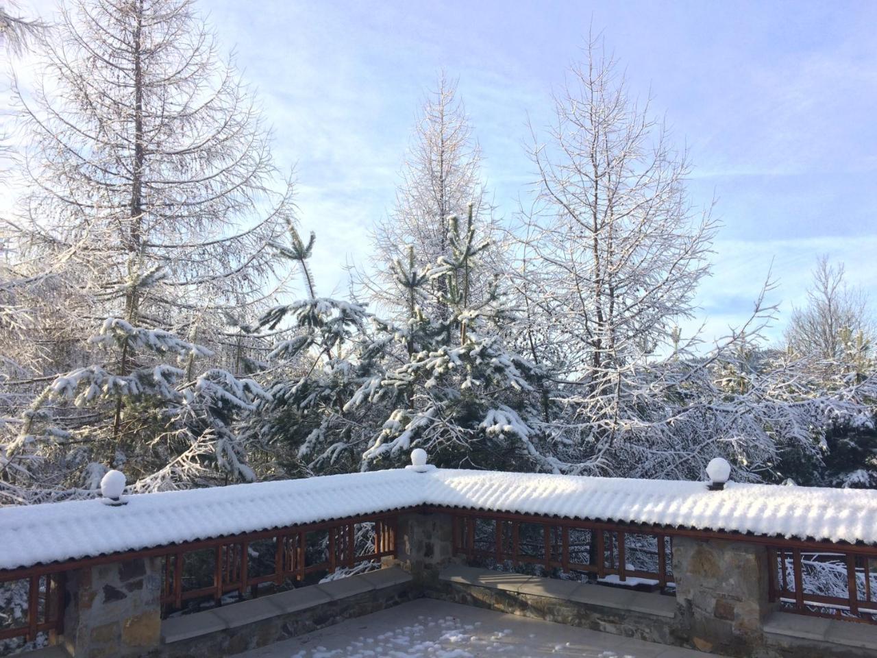 Eco Sadiba Kaskad Hotel Velyka Volosyanka Exterior foto